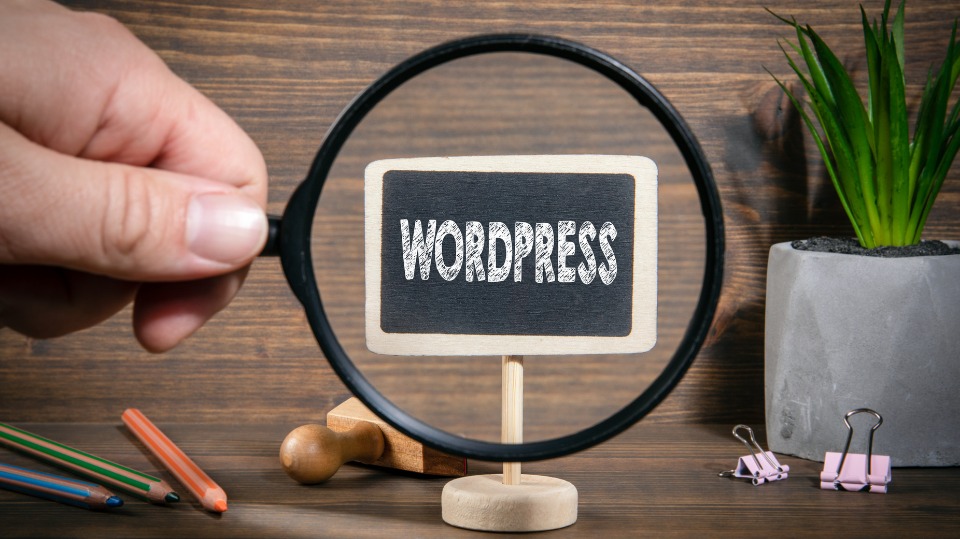 WordPress Solutions